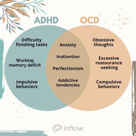 Ocd Symptoms In Men