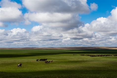 Kazakh Steppe, About Kazakh Steppe Climate, Location, Guide