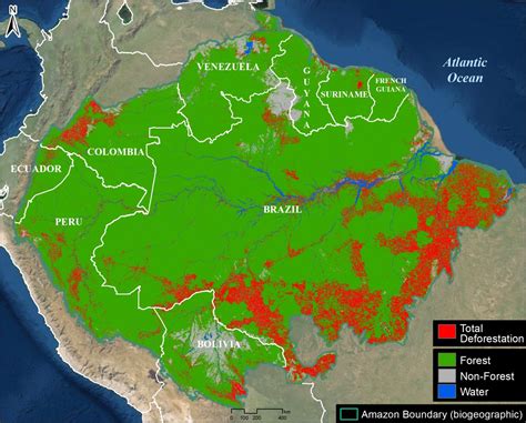 Map Of Amazon Deforestation - Randa Carolyne