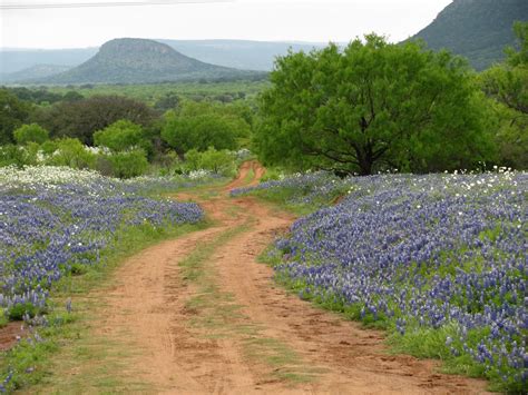 🔥 [50+] Texas Hill Country Wallpapers | WallpaperSafari