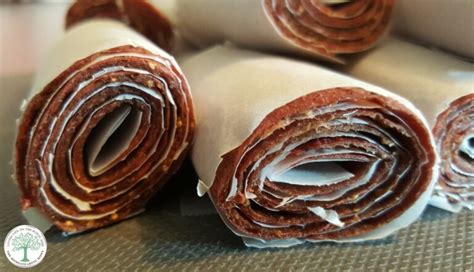 3 No-Cook Fruit Leather Dehydrator Recipes