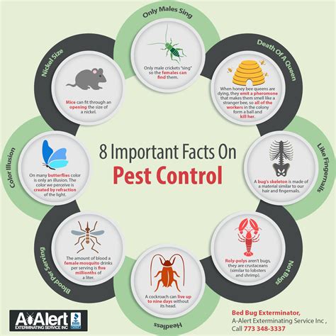 8 Important Facts on Pest Control | Shared Info Graphics