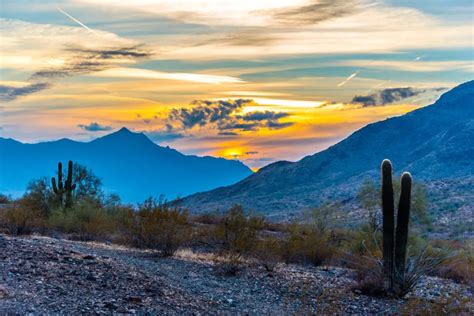 Visit Estrella Mountain Regional Park - GoSeeAZ.com