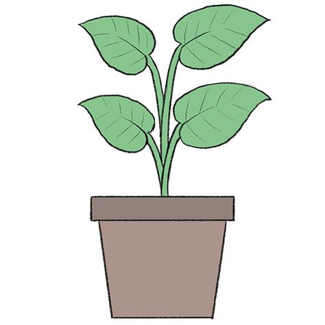 14+ Easy Plant Drawing - KuwatLaithen