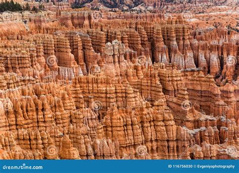 Unique Hoodoo Rock Formations in Bryce Canyon, USA Stock Photo - Image ...