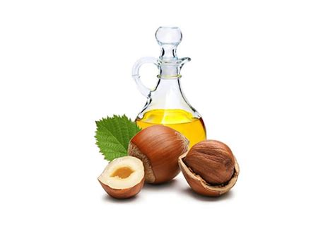 Liquid Hazelnut Oil, 25 Kg at Rs 900/kg in Ghaziabad | ID: 9159795288