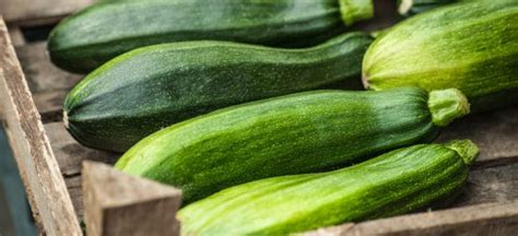 Zucchini Nutrition, Benefits, Recipes, Uses and Side Effects - Dr. Axe