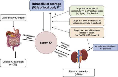 Describe the Treatment Goals for Dialysis.