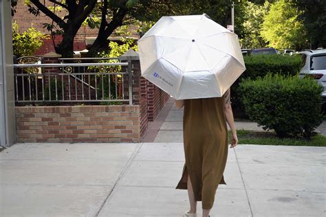 The 8 Best UV Umbrellas for Maximum Sun Protection (2022)