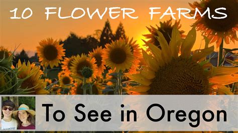 Guide to 10 Fabulous Flower Farms and Gardens in Oregon — Adventures ...