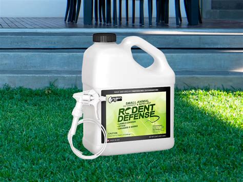 Best Rat Repellent for Garden: Top 5 Options in 2024 That Actually Work