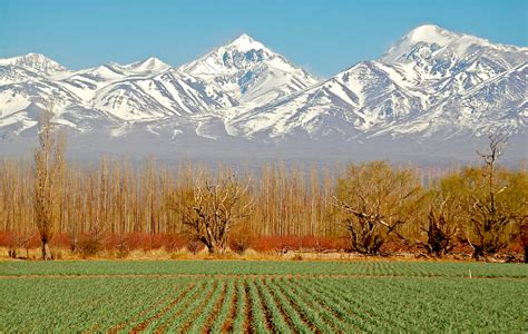 Things to do in the Mendoza Wine Region in Argentina | Chimu Adventures