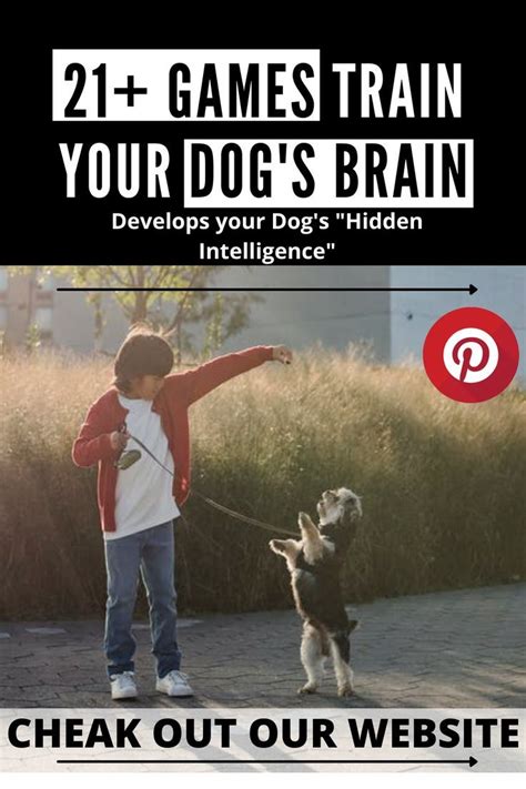 21+ games to train your dogs brain | dog games | games for dogs | dogs ...