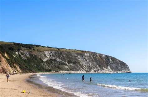 Dog-friendly beaches – Swanage.co.uk