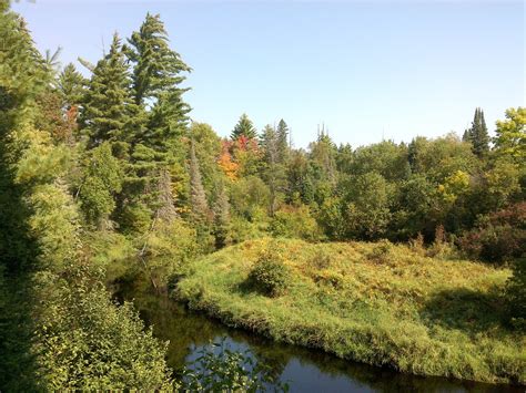 Heart and Sole: Ottawa National Forest - Trail among trees