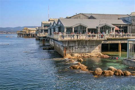 Monterey Bay Aquarium Visitor Guide