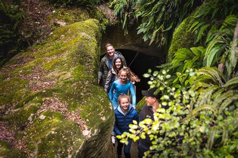 Te Anau Glowworm Caves Tour | RealNZ Glowworm Tours