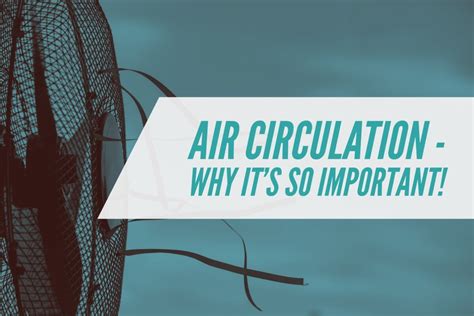 Air Circulation - Why It's So Important! - Gardeners Corner