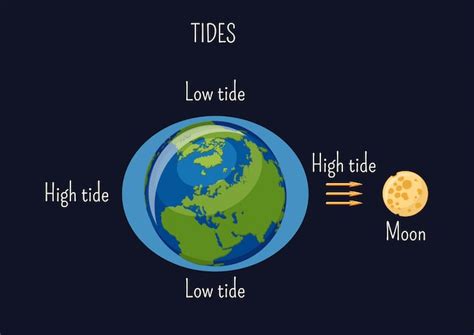 Tides And Moon Phases Chart