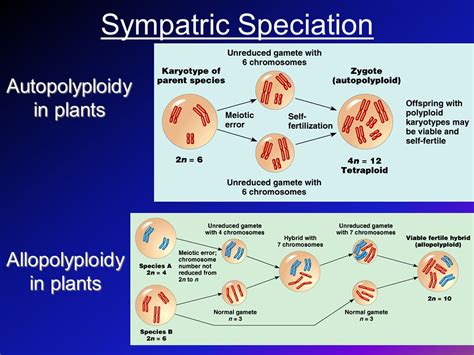 ALLOPOLYPLOIDY AND AUTOPOLYPLOIDY PDF