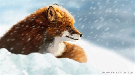 Snow Fox by SketchedDog on Newgrounds