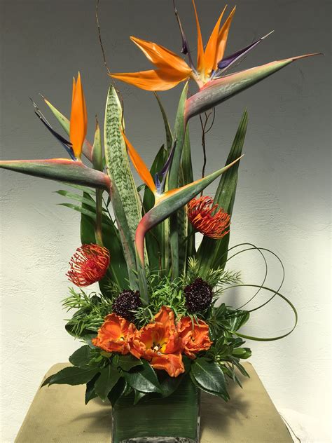 Birds of Paradise Arrangement in Square Vase