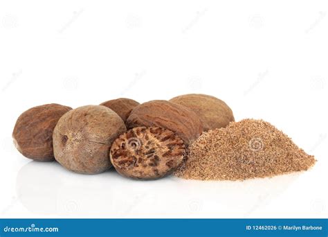 Nutmeg Spice stock photo. Image of fresh, ingredient - 12462026