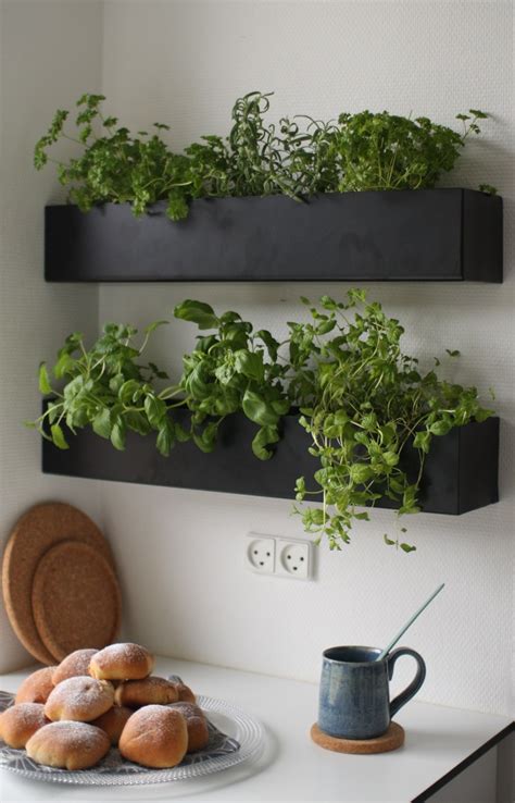 Welcome to Purple ID | Herb garden in kitchen, Indoor herb garden ...