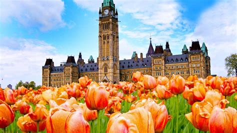 Festival canadien des tulipes 2020