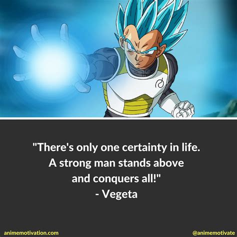 The Greatest Vegeta Quotes Dragon Ball Z Fans Will Appreciate | Dragon ...