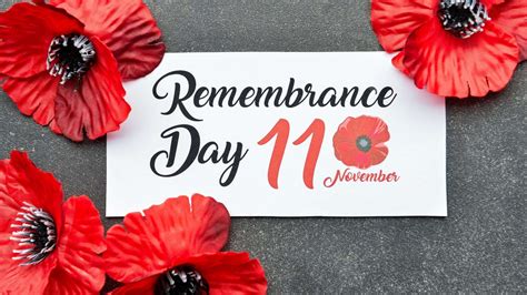 Remembrance Day Canada 2025 - Vivi Alvinia