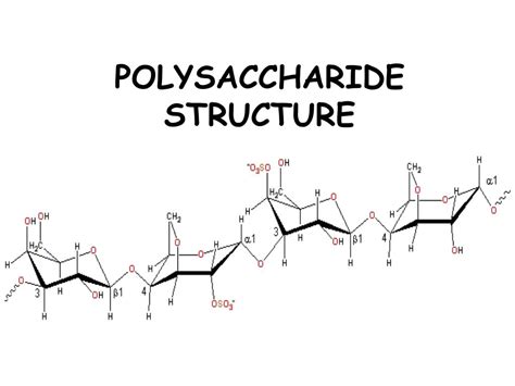 PPT - POLYSACCHARIDE STRUCTURE PowerPoint Presentation, free download ...