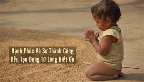 Sự liên kết giữa việc biết ơn và vượt qua sang chấn tâm lý