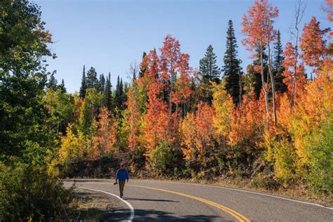 Idaho Fall Colors Road-Tripping in Southern Idaho