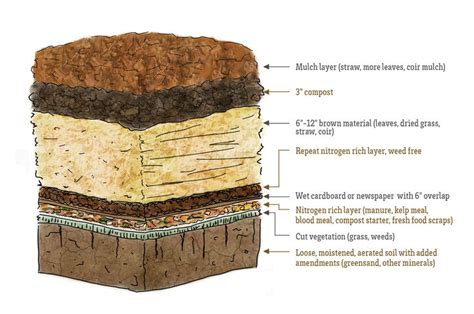 Sheet Mulching - Building Healthy Soil for Your Garden