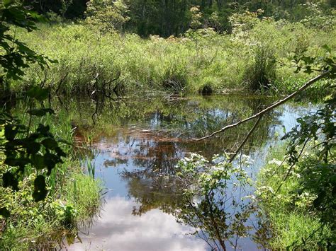 Big River Management Area | West Greenwich, RI 02817