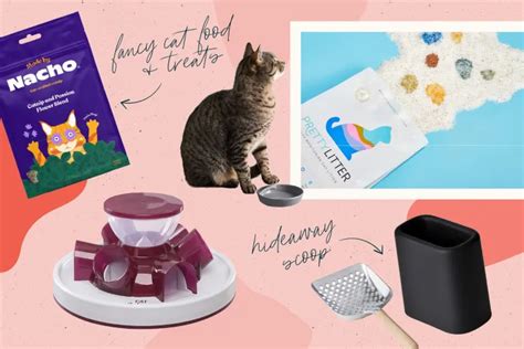 10 Creative Gifts Your Cat Will Go Crazy For