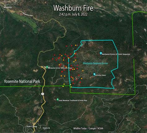 Fire burns into another giant sequoia grove, this time in Yosemite ...