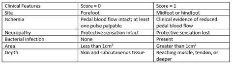 Diabetic Foot Ulcer Wagner Classification