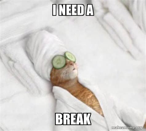 I need a break - Pampered Cat Meme Meme Generator