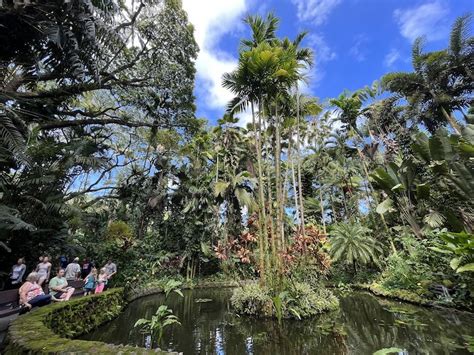 Hawaii Tropical Botanical Gardens Big Island | Fasci Garden