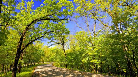 Springbrook National Park Hdr HD desktop wallpaper : Widescreen : High ...