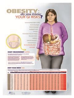 WAIST MEASUREMENT MATTERS / waist-measurement-matters.pdf / PDF4PRO