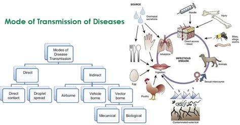 Mode of Transmission of Diseases- Direct and Indirect Transmission