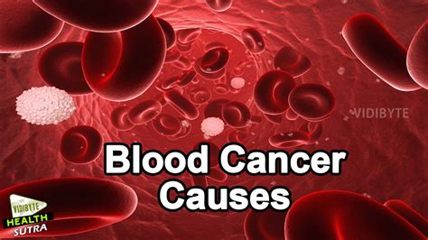 What Is Blood Cancer, Blood Cancer Causes || Cancer Treatment - YouTube