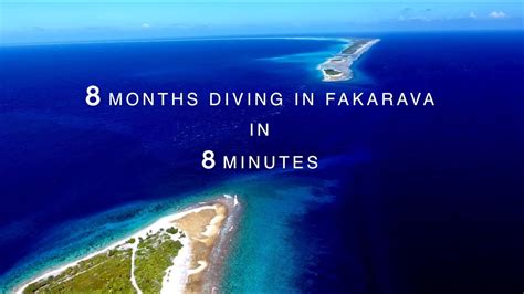 8 Months Diving In Fakarava in 8 Minutes (French Polynesia) - YouTube