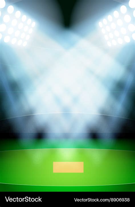 Background for posters night cricket stadium Vector Image