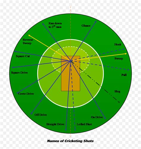 Filecricketshotsmswdpng - Wikimedia Commons Cricket Field Dimensions ...