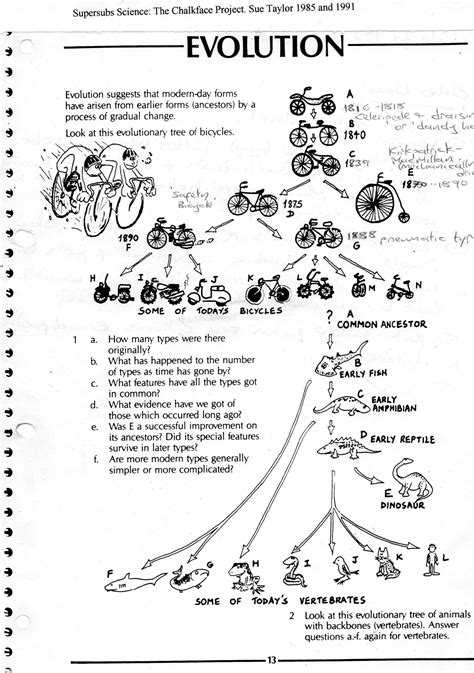 Darwin039s Natural Selection Worksheet Worksheet On Evolution Using ...