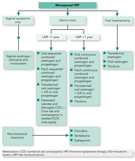 Menopause Guidelines 2024 - Tiffi Philis